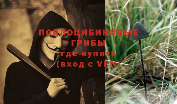 2c-b Балабаново
