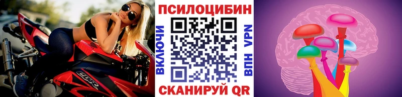 где купить наркоту Таруса МЕГА tor Псилоцибиновые грибы Magic Shrooms